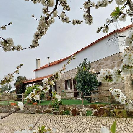 A Casa Do Soito Villa Oliveira do Hospital Dış mekan fotoğraf