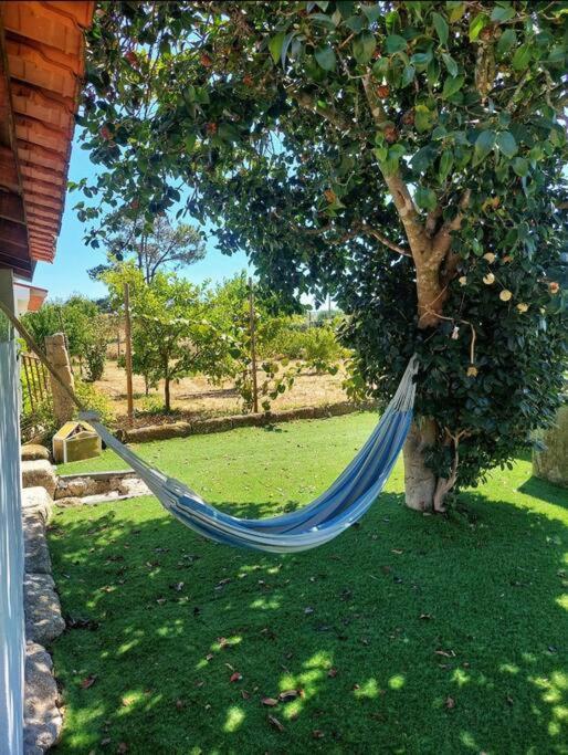 A Casa Do Soito Villa Oliveira do Hospital Dış mekan fotoğraf